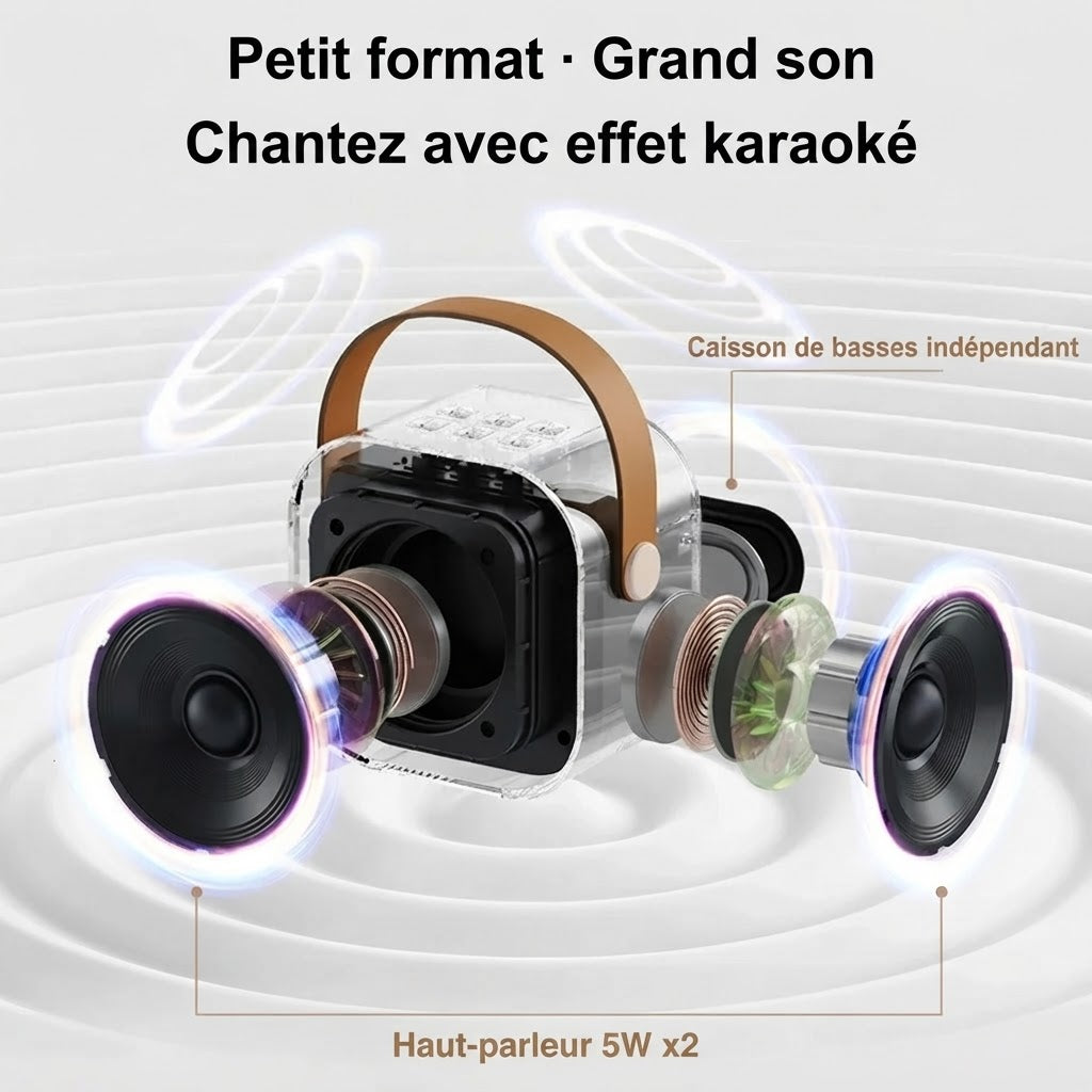 Mini kit karaoké pour enfants avec 2 microphones sans fil